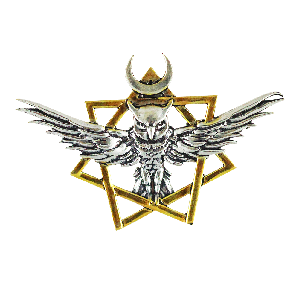 Guardian's Amulet for Wisdom