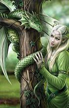 Girls &amp; Dragons Cards by Anne Stokes