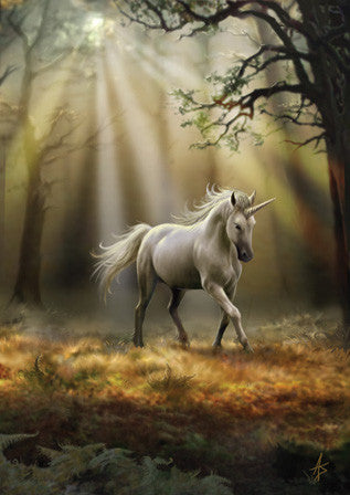 rAN30-Glimpse of a Unicorn Card (Anne Stokes Unicorns Cards) at Enchanted Jewelry & Gifts