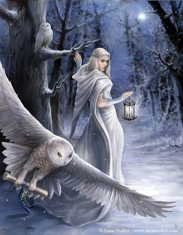 rAN40-Midnight Messenger Card (Anne Stokes Yuletide Magic Cards) at Enchanted Jewelry & Gifts