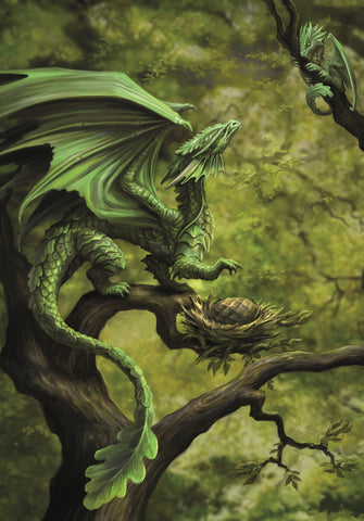 rAN75-Forest Dragon Card (Anne Stokes Age of Dragons Cards) at Enchanted Jewelry & Gifts