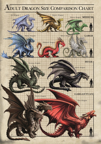rAN78-Size Chart Dragons Card (Anne Stokes Age of Dragons Cards) at Enchanted Jewelry & Gifts