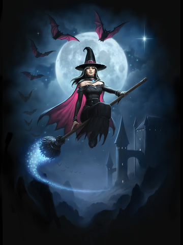 rJR01-Witch Flight Card (Cards - James Ryman) at Enchanted Jewelry & Gifts