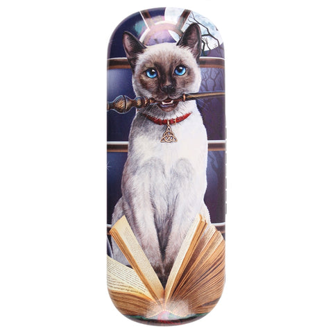 LP311G-Hocus Pocus (Cat) Eyeglass Case by Lisa Parker Eyeglass Cases at Enchanted Jewelry & Gifts