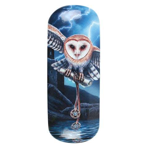LP038G-Heart of the Storm (Owl) Eyeglass Case by Lisa Parker Eyeglass Cases at Enchanted Jewelry & Gifts