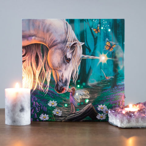 Fairy Whispers Light Up Canvas Print by Lisa Parker