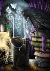 Linda Jones / She Black Dragon Cards