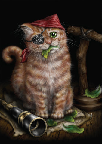 Pirate Kitten Card
