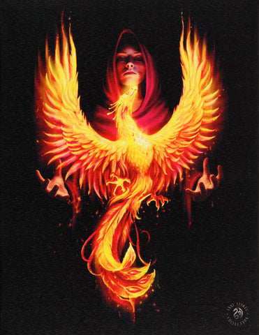 Phoenix Rising Canvas Print by Anne Stokes